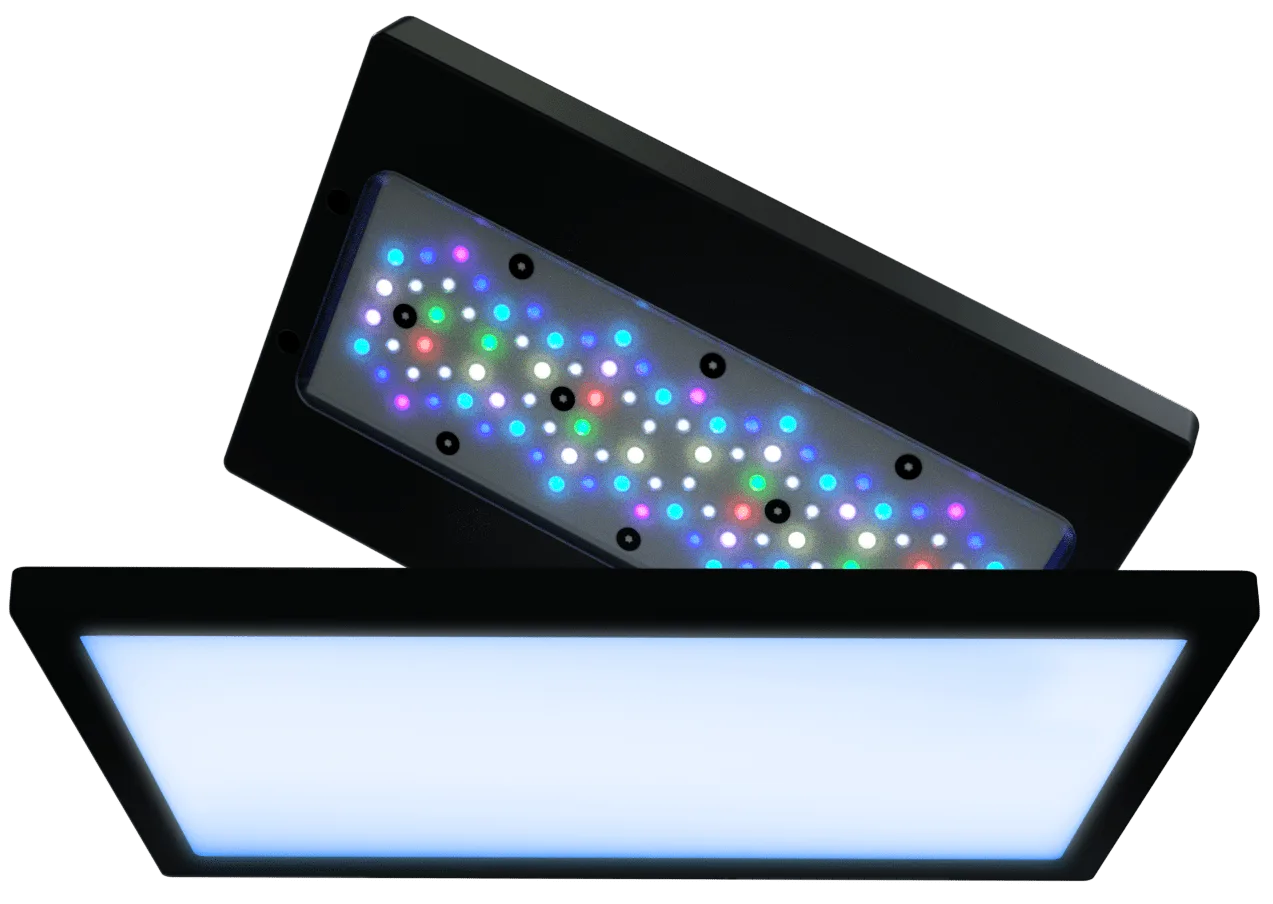 HOW IT WORKS
