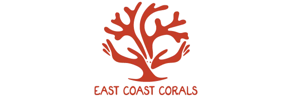 East Coast Corals